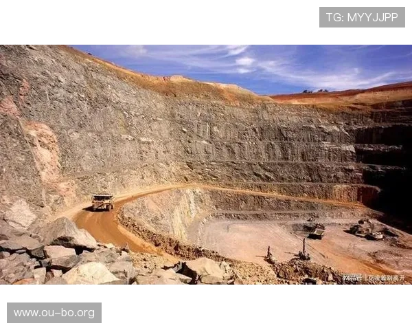 菲律宾欧博aiibet集团：在东南亚市场的品牌影响力与市场拓展路径研究