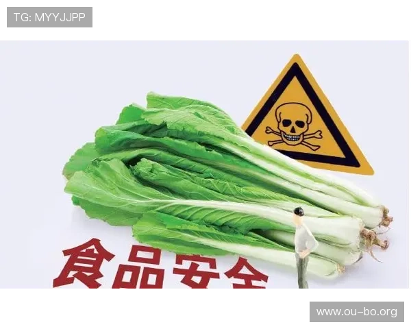 欧博会员开户网安全保障措施确保用户个人信息安全和账户资金安全